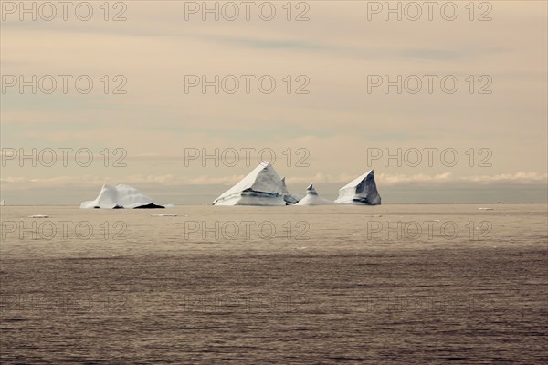 Icebergs au Groenland