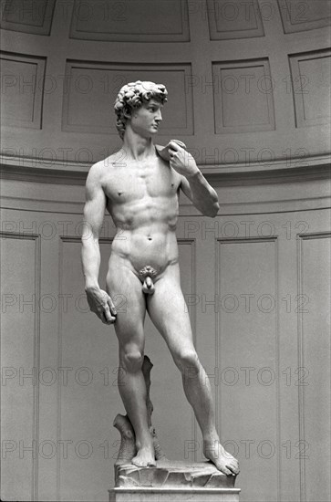 Statue of David by Michaelangelo