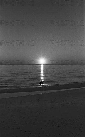 Couple Riding Horse on Beach