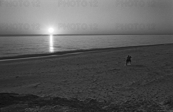 Couple Riding Horse on Beach