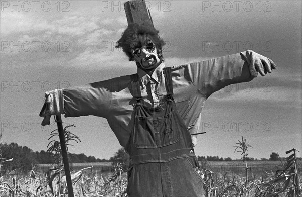 Scarecrow in Field