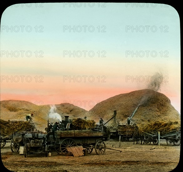 Threshing Wheat, Red River Valley, North Dakota, USA, Magic Lantern Slide, circa 1910