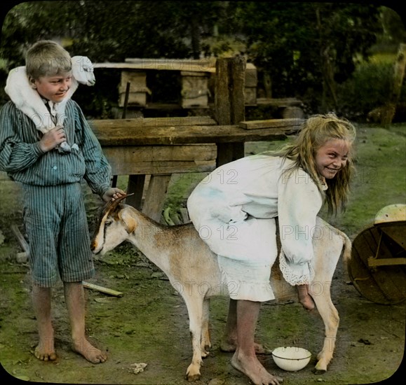 Girl Milking Goat, Australia, Magic Lantern Slide, circa 1910