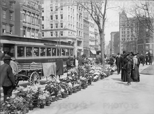 Flower Vendors, Easter Display, New York City, New York, USA, Detroit Publishing Company, 1904