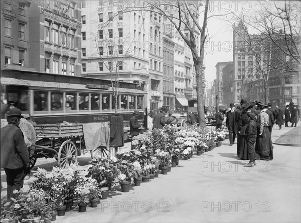 Flower Vendors, Easter Display, New York City, New York, USA, Detroit Publishing Company, 1904