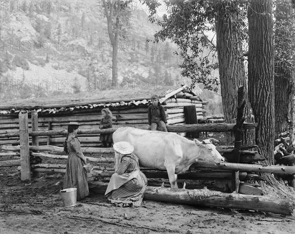 Mountain Milk Maids, Colorado, USA, William Henry Jackson for Detroit Publishing Company, 1900