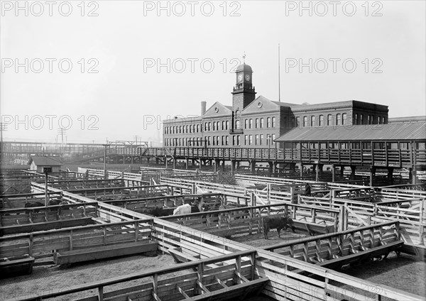 Livestock Exchange, Kansas City, Missouri, USA, Detroit Publishing Company, 1906