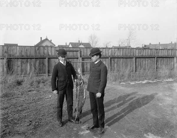 Two Men with Muskellunge Fish, Midwest USA, Detroit, Michigan, USA, 1905