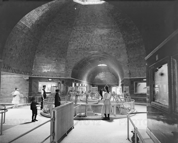 Aquarium, Belle Isle Park, Detroit, Michigan, USA, Detroit Publishing Company, 1910