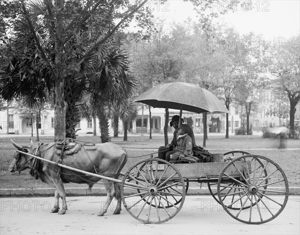 Bovinmobile, Savannah, Georgia, USA, Detroit Publishing Company, 1910