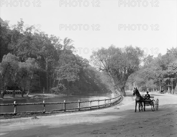 Horse and Buggy along Wissahickon Creek and Drive, Fairmount Park, Philadelphia, Pennsylvania, USA, Detroit Publishing Company, 1908