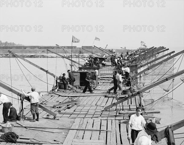 Fishing Pier, Chicago, Illinois, USA, Detroit Publishing Company, 1915