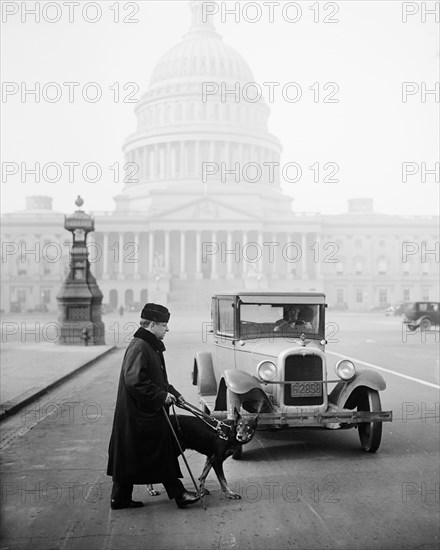 Blind Man with Guide Dog Crossing Street in Front of Automobile, U.S. Capitol Building in Background, Washington DC, USA, Harris & Ewing, 1927