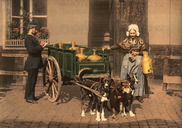 Flemish Milk Woman, Antwerp, Belgium, Photochrome Print, Detroit Publishing Company, 1900