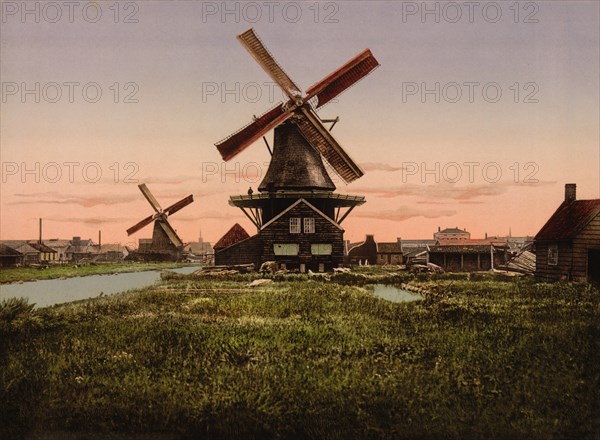 Two Windmills, Holland, Photochrome Print, Detroit Publishing Company, 1900