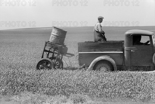 Farmers Spreading Poison Grasshopper Bait, Richland County, Montana, USA, Arthur Rothstein for Farm Security Administration (FSA), June 1939
