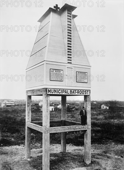 Dr. Charles Augustus Rosenheimer Campbell Standing with Bat Roost, San Antonio, Texas, USA, Bain News Service, 1910's