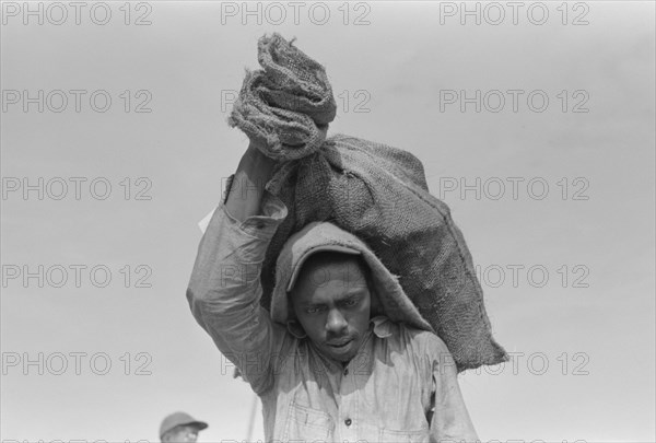 Stevedore with Sack of Oysters on Back, Olga, Louisiana, USA, Russell Lee, September 1938