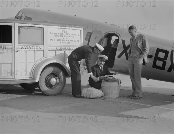 Plant Quarantine Inspector Examining Baggage Brought into U.S. by Plane from Mexico, Glendale, California, USA, Dorothea Lange for Farm Security Administration, May 1937