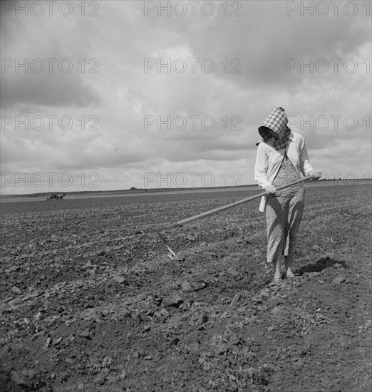 Wife of Tenant Farmer Hoeing Soil, Texas, USA, Dorothea Lange for Farm Security Administration, June 1937