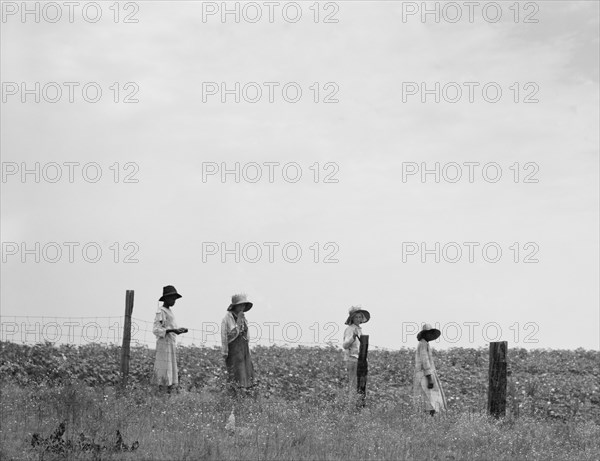 Cotton Hoers Leaving the Field for Lunch, Georgia, USA, Dorothea Lange for Farm Security Administration, July 1937