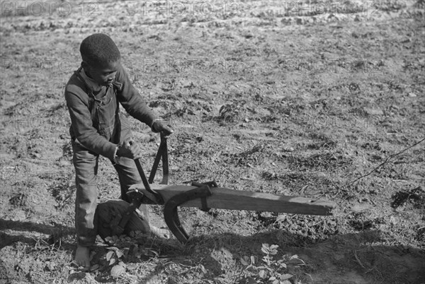 Young Boy Plowing School Garden, Gees Bend, Alabama, USA, Marion Post Wolcott for Farm Security Administration, May 1939