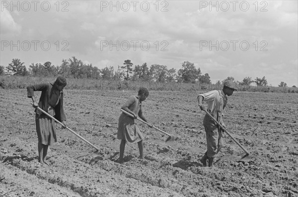 Three Children Hoeing Field, Flint River Farms, Georgia, USA, Marion Post Wolcott for Farm Security Administration, March 1939