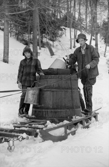 Father and Son on Sled with Vat full of Sap from Sugar Maple Trees, Waitsfield, Vermont, USA, Marion Post Wolcott for Farm Security Administration, April 1940