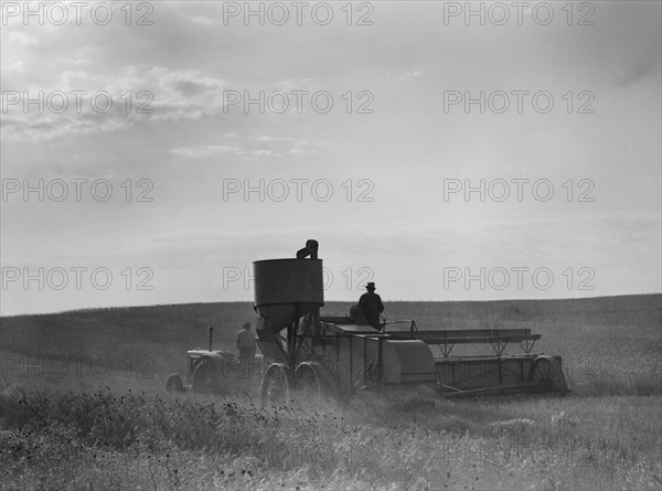 Two Farmers Harvesting Wheat with Combine, near Culbertson, Montana, USA, Marion Post Wolcott for Farm Security Administration, August 1941