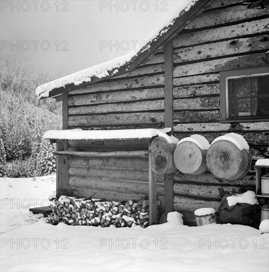 Ranch House after early Fall Blizzard, near Aspen, Colorado, USA, Marion Post Wolcott for Farm Security Administration, September 1941