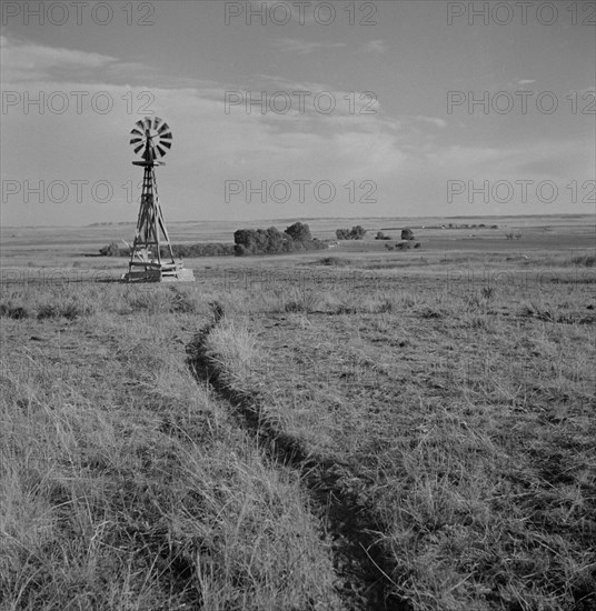 Cattle Paths to Water Hole by Windmill on Grazing Land, near Scottsbluff, Nebraska, USA, Marion Post Wolcott for Farm Security Administration, September 1941