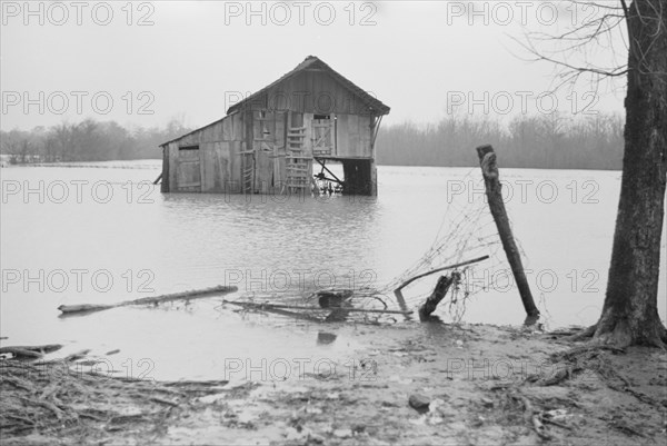 Farm Covered with Floodwaters, near Ridgeley, Tennessee, USA, Walker Evans for Farm Security Administration, February 1937