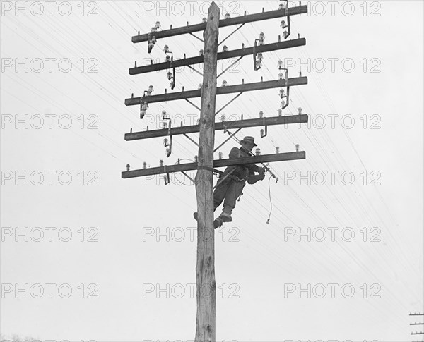 Telephone Company Lineman, Washington DC, USA, National Photo Company, 1929