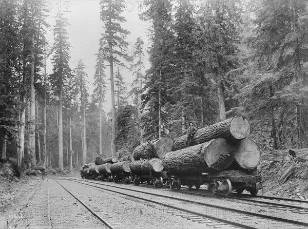 Log Train, Washington, USA, John D. Cress for Farm Security Administration, 1935