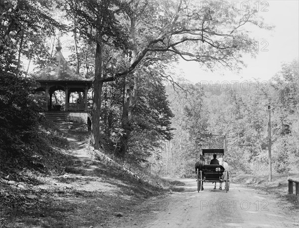 Rear View of Horse-Drawn Carriage on Rural Road, Schooley's Mountain near Hackettstown, New Jersey, USA, Detroit Publishing Company, 1900