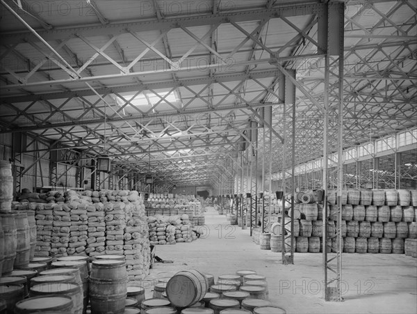 New York Central Freight Sheds, Buffalo, New York, USA, Detroit Publishing Company, 1900