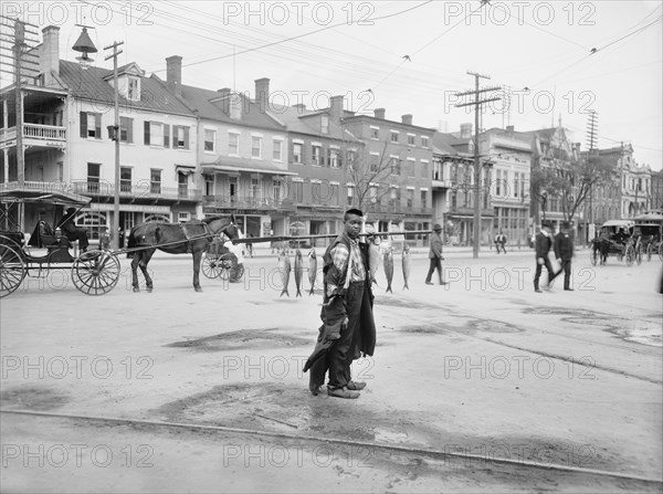 Southern Fish Vendor, August, Georgia, USA, Detroit Publishing Company, 1903