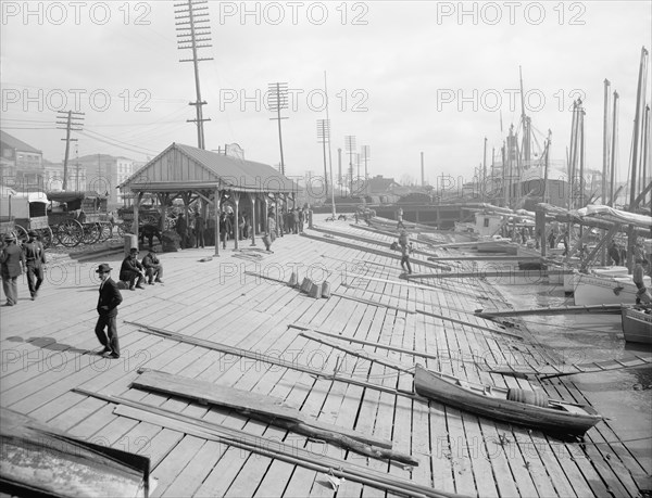 Oyster Luggers, New Orleans, Louisiana, USA, Detroit Publishing Company, 1903