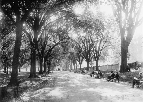 Beacon Street Mall, Boston, Massachusetts, USA, Detroit Publishing Company, 1899