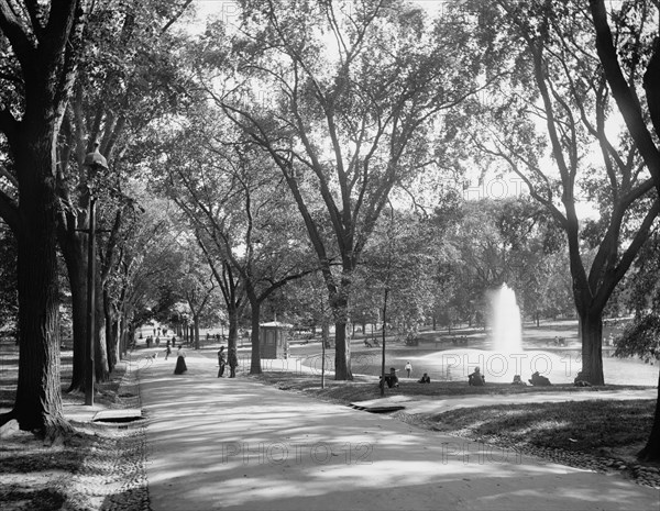 Fountain in Frog Pond, the Common, Boston, Massachusetts, USA, Detroit Publishing Company, 1899