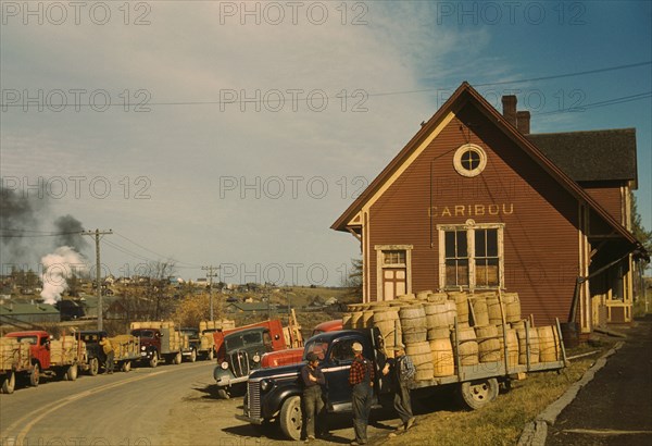 Trucks Carrying Barrels of Potatoes to be Graded and Weighed Lined up in front of Starch Factory, Caribou, Aroostook County, Maine, USA, Jack Delano for Farm Security Administration - Office of War Information, October 1940