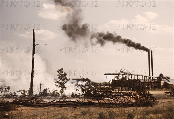 Sawmill at Greensboro Lumber Co., Greensboro, Georgia, USA, Jack Delano for Farm Security Administration - Office of War Information, June 1941