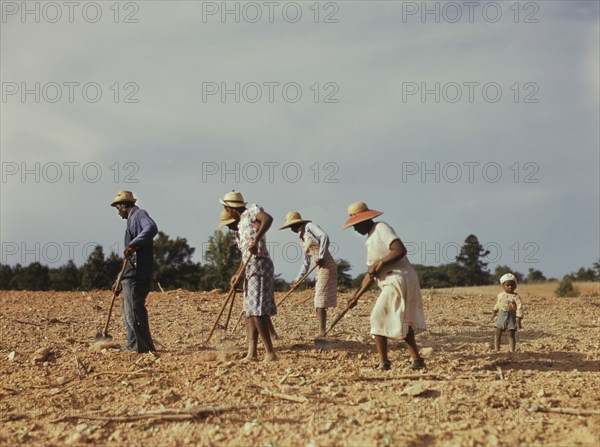 Workers Chopping Cotton on Rented Land near White Plains, Greene County, Georgia, USA, Jack Delano for Farm Security Administration - Office of War Information, June 1941