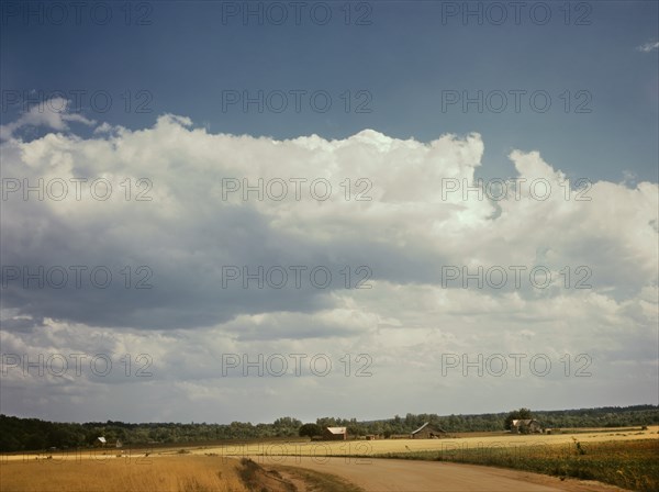 Landscape on the Jackson Farm, vicinity of White Plains, Georgia, USA, Jack Delano for Farm Security Administration - Office of War Information, June 1941