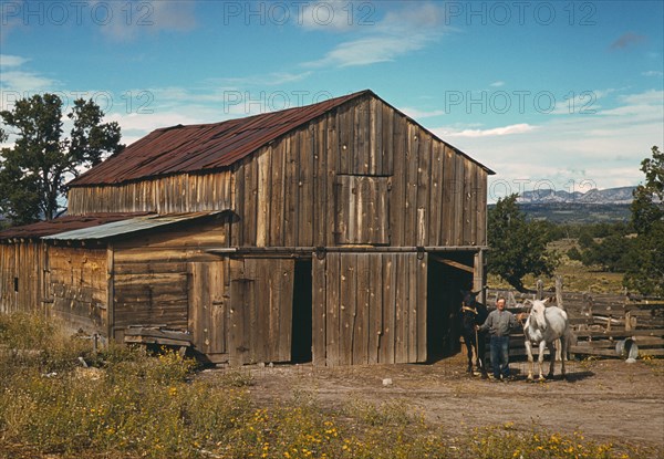 Bill Stagg, Homesteader, Portrait with Horses in front of his Barn, Pie Town, New Mexico, USA, Russell Lee for Farm Security Administration - Office of War Information, October 1940
