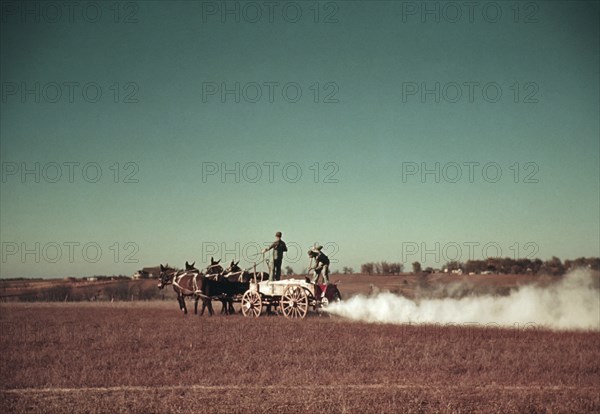 Farmers Spreading Fertilizer farm 4-Mule Team Wagon, Georgia, Marion Post Wolcott for Farm Security Administration - Office of War Information, 1940