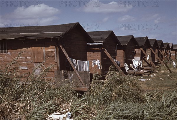 Row of Homes Condemned by Board of Health that are Still Occupied by African-American Migratory Workers, Belle Glade, Florida, USA, Marion Post Wolcott for Farm Security Administration, January 1941