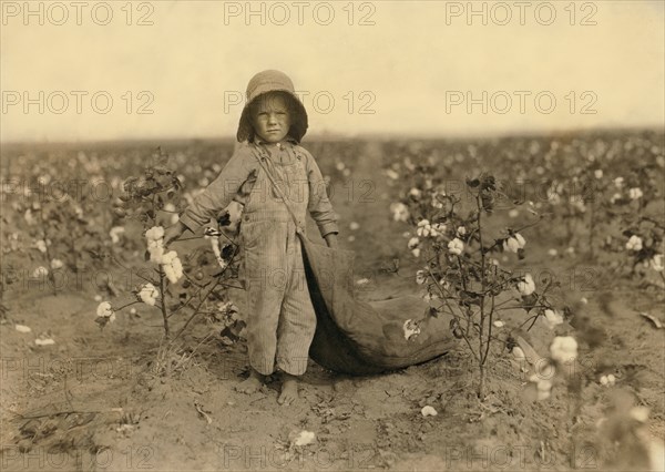 Harold Walker, 5 years old, Full-Length Portrait, Cotton Picker, Comanche County, Oklahoma, USA, Lewis Hine for National Child Labor Committee, October 1916