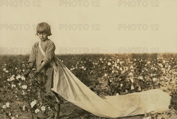 Norma Lawrence, 10 years old, Full-Length Portrait, Cotton Picker, Picks 100 to 150 pounds of Cotton per day, Comanche County, Oklahoma, USA, Lewis Hine for National Child Labor Committee, October 1916