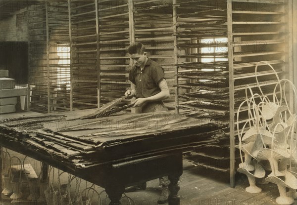 15-year-old Boy Sorting Cycas Leaves, Floral Supply Company, Boston, Massachusetts, USA, Lewis Hine for National Child Labor Committee, January 1917